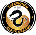 Black Dragon Logo
